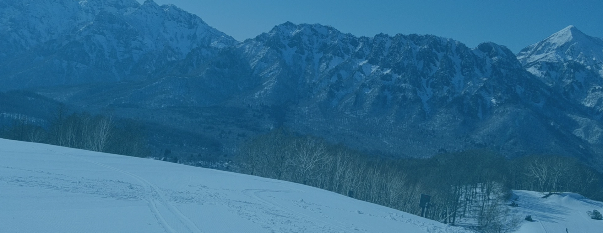 背景