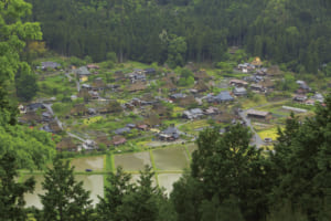 旅心をかき立てる道。絶景ドライブ100選「国道162号・周山街道／鯖街道（京都府／福井県）／メタセコイア並木（滋賀県）」