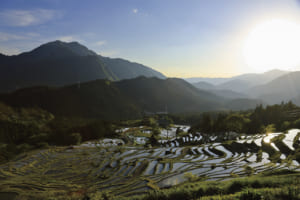 旅心をかき立てる道。絶景ドライブ100選「熊野古道・風伝峠（岐阜県）」