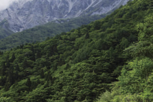 旅心をかき立てる道。絶景ドライブ100選「大山環状道路／蒜山大山スカイライン（鳥取県／岡山県）」