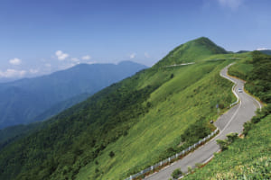 旅心をかき立てる道。絶景ドライブ100選「瓶ヶ森林道（愛媛県／高知県）」