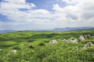 旅心をかき立てる道。絶景ドライブ100選「秋吉台スカイライン（山口県）」