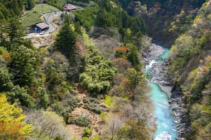 SLの汽笛を聞きながら大井川を源流へと遡る「川根路」（静岡県）【日本の街道を旅する】