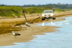 大陸に向かって開かれた半島の道には中世が息づく「外浦街道」（石川県）【日本の街道を旅する】