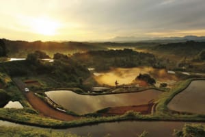 美しい棚田が広がる峠の集落を越えて（新潟県・星峠）【絶景ドライブ 日本の峠を旅する】