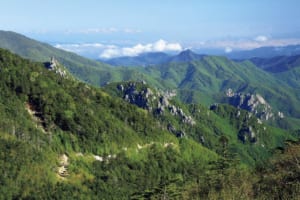 標高2360m、日本一高い車道の峠道（長野県／山梨県・大弛峠）【絶景ドライブ 日本の峠を旅する】