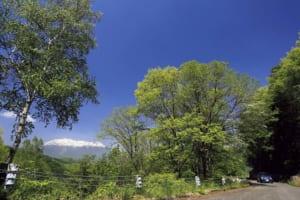 お地蔵さんの立つ旧道を越え、霊峰・御嶽の山ふところへ（長野県・地蔵峠）【絶景ドライブ 日本の峠を旅する】