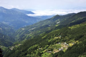 平家の末裔が暮らす山里へと分け入っていく（徳島県／高知県・京柱峠）【絶景ドライブ 日本の峠を旅する】