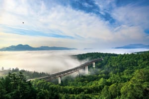 果てしなく広がる大樹海の上に雲海が押し寄せてくる（北海道　国道273号・三国峠）【雲海ドライブ＆スポット Route 05】