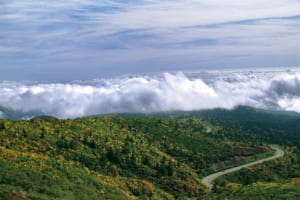 みちのくの脊梁山脈中央分水嶺の山並みをゆったりと横切っていく道（山形県 蔵王エコーライン）【雲海ドライブ＆スポット Route 17】