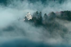 雲海の発生頻度は高くないがその姿はまさに幻想的（岐阜県 郡上八幡城）【雲海ドライブ＆スポット Spot 52】