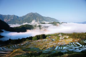 紀伊山中の美しい千枚田に雲海が湧き上がる（三重県 丸山千枚田）【雲海ドライブ＆スポット Spot 55】