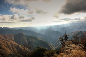 太平洋から押し寄せる雲が目の前に埋めつくす圧巻の風景（奈良県 大台ヶ原ドライブウェイ）【雲海ドライブ＆スポット Route 58】