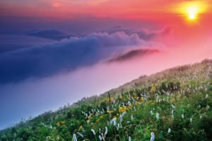 琵琶湖を渡る湿った風が山並みに当たって雲を生む（岐阜県 伊吹山ドライブウェイ）【雲海ドライブ＆スポット Route 59】