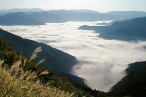 深い谷を埋めつくす大歩危峡の名物「八合霧」（徳島県 吾橋雲海展望台）【雲海ドライブ＆スポット Spot 70】