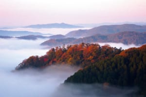 小高い山の上に立つ天守閣が雲の海に浮かび上がる（岡山県 備中松山城）【雲海ドライブ＆スポット Spot 71】