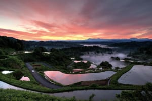 水鏡のように輝く棚田が山里にたなびく雲や空を映し出す（新潟県 星峠）【雲海ドライブ＆スポット Route 45】