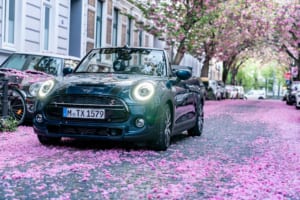 MINIが桜の魅力を特別仕様車の「コンバーチブル・サイドウォーク」でアピール