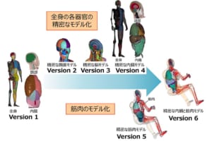 トヨタがバーチャルダミー技術を無償公開