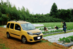 夏休みはココだ！ 千葉県「成田ゆめ牧場」内に「カングーファーム」オープン