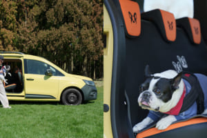 ルノー・カングー専用“FRENCH BULLDOG LIFE”コラボのペット用アクセサリーが期間限定で販売！