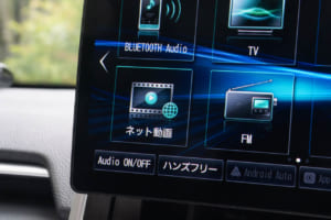 ストラーダ F1X PREMIUM10