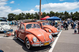 2025年6月1日に開催されたStreet VWs Jamboree