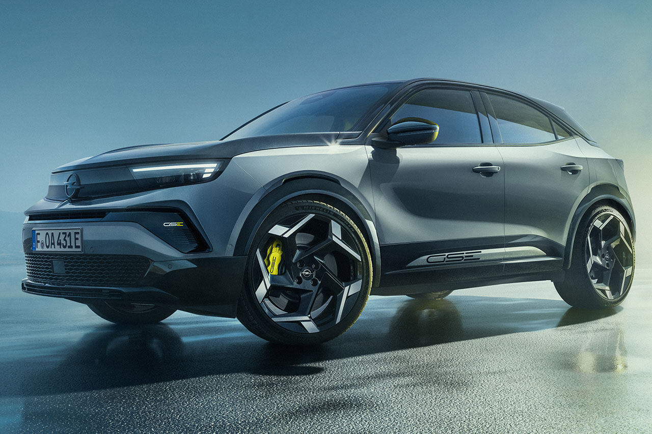 モレネオベータ　海外モデル　28.5 マグキャッチMINI（黒色、紫色） 2ヶ入 | ANEXブランドのドライバー