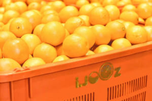 人気の生搾りジュースブランドIJOOZ