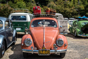 1956年式フォルクスワーゲン・タイプ1