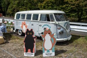 嵐山高雄パークウェイで開催されたVW Autumn 2025