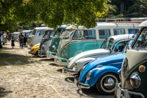 嵐山高雄パークウェイで開催されたVW Autumn 2025