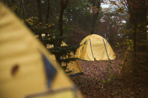 「ディフェンダー・トロフィー(DEFENDER TROPHY)」日本国内予選会