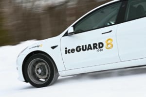 ヨコハマ アイスガード8