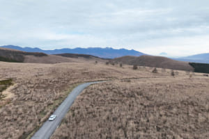 アルピーヌA110アニバーサリー：ボディカラーはブルー アルピーヌMとブラン イリゼMの2色が用意。販売台数は限定25台で、すでに完売している。