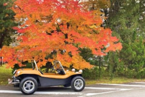 1969年式メイヤーズ・マンクス