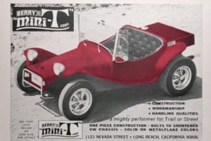 「BERRY mini-T（ベリー・ミニT）」の広告