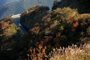 小林稔写真集 CHASING GRACE