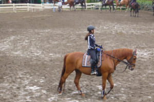 乗馬をする人には周知の通り、手綱をぎゅっと握り締めて走っていると手に汗をかく。馬のたてがみで手をさっと拭くと汗がよく取れる。