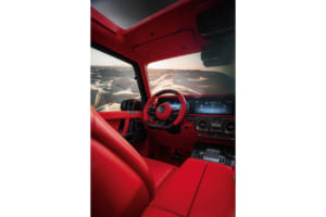 ブラバス XL800カブリオ