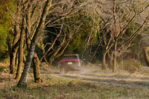 フォルクスワーゲン・ティグアン TDI 4モーション Rライン：可変ギアレシオを採用するプログレッシブステアリングは、取り回しや駐車時に必要な力を大幅に軽減している。