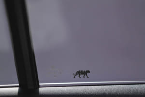 フォルクスワーゲン・ティグアン TDI 4モーション Rライン