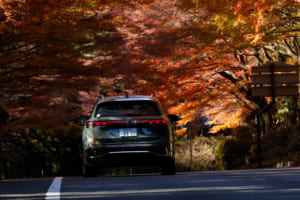フォルクスワーゲン・ティグアン TDI 4モーション Rライン：霧島神宮付近の国道223号線、通称紅葉樹帯トンネル。見事に色づいた木々が赤と黄色のトンネルを描き出していた。