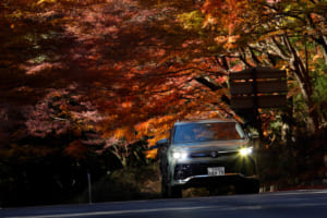 フォルクスワーゲン・ティグアン TDI 4モーション Rライン：霧島神宮付近の国道223号線、通称紅葉樹帯トンネル。見事に色づいた木々が赤と黄色のトンネルを描き出していた。