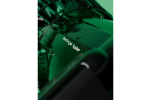 Twingomania：トゥインゴ・カヘ