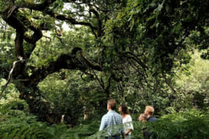 ディフェンダー・アワード：英国の「Thousand Year Trust」