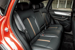 シートは前後ともにナッパレザーが使用され、カッパー色のセンターラインが特徴的だ。通常のドライブエディションはブラックおよびグレージュのレザーシートの選択が可能で、グレージュはセンターラインがブラックとなる。どちらのグレードでも前席パワーシートや前後席シートヒーターが装備されるなど充実した内容だ。