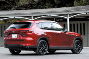 ブラックメタリック塗装の20インチアルミホイール、ピアノブラックのドアミラー、ブラッククロームのシグネチャーウイングが専用装備となるドライブエディション。グリルはスポーティーなハニカムタイプで、こちらもピアノブラック仕上げとなる。